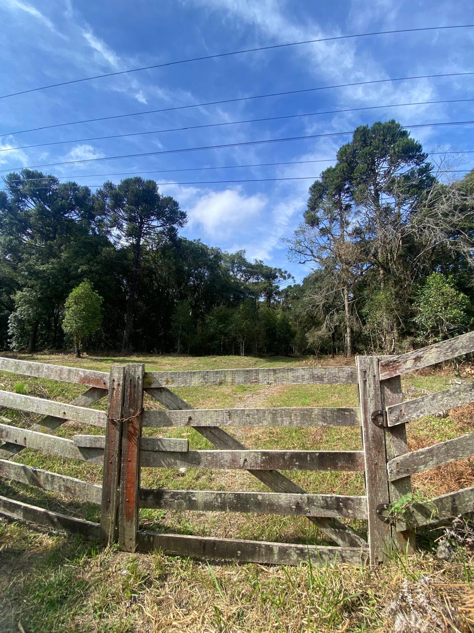 Terreno à venda